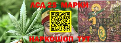 стафф Жуковский
